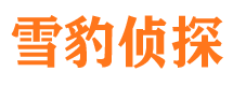 碌曲市私家侦探